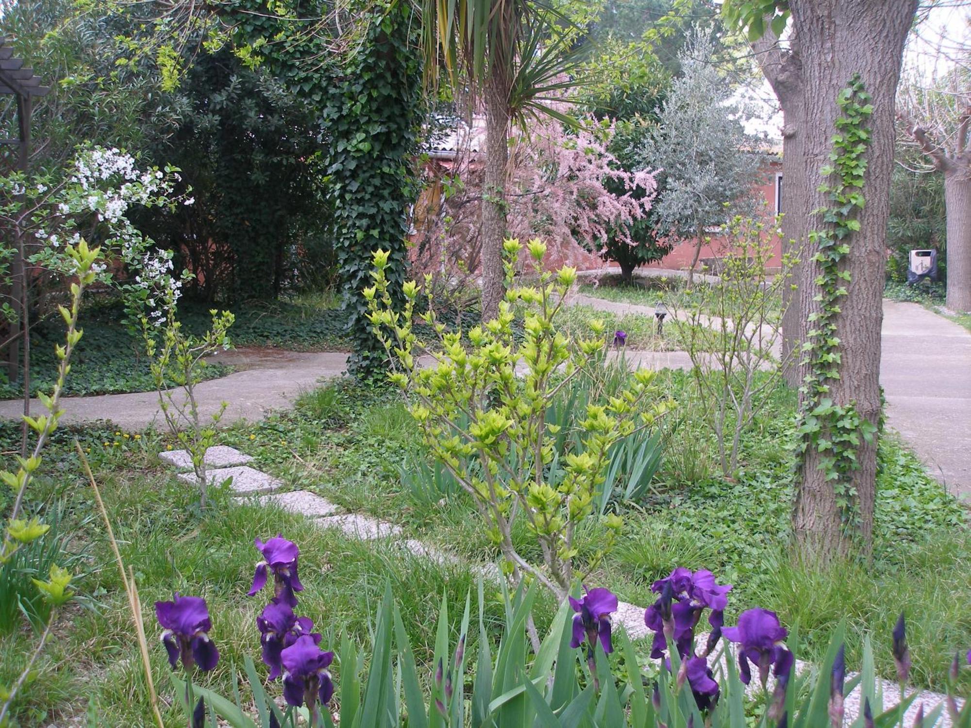 Hotel La Chaumiere 2*